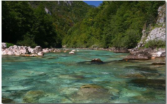Guest House Tara Canyon Pljevlja Bagian luar foto