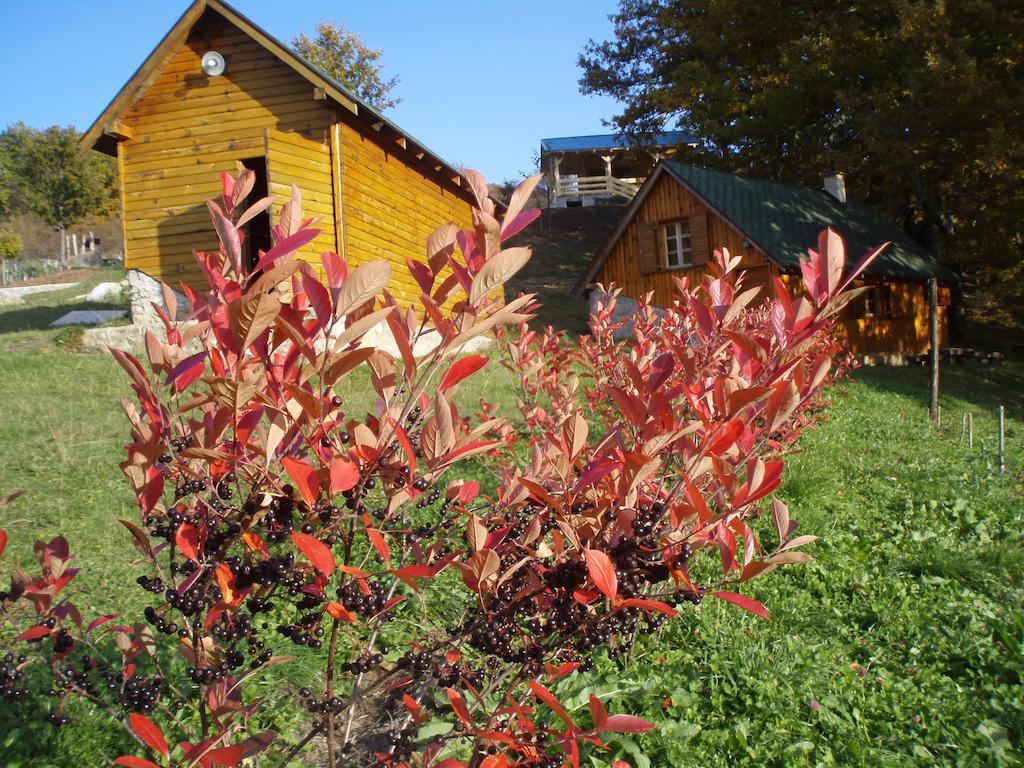 Guest House Tara Canyon Pljevlja Bagian luar foto