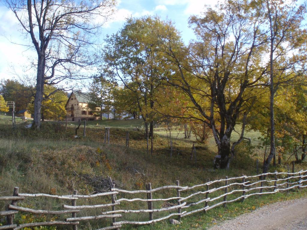 Guest House Tara Canyon Pljevlja Bagian luar foto