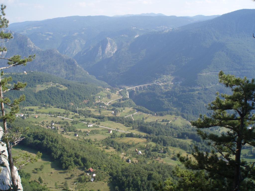 Guest House Tara Canyon Pljevlja Bagian luar foto