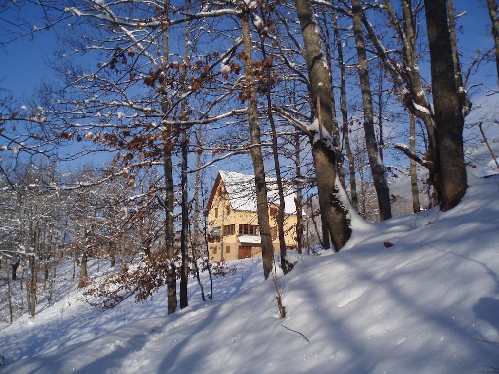Guest House Tara Canyon Pljevlja Bagian luar foto