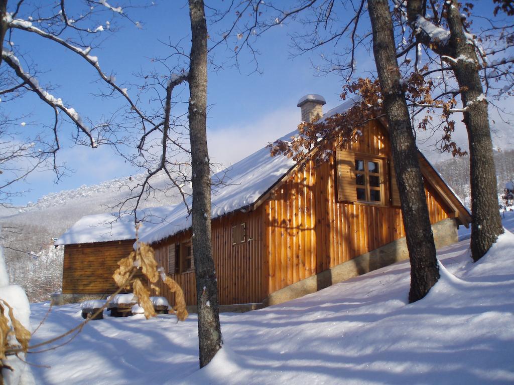 Guest House Tara Canyon Pljevlja Bagian luar foto