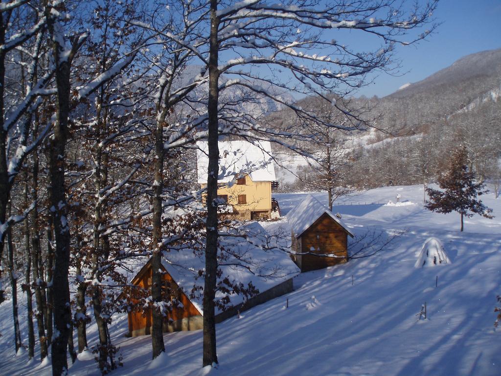 Guest House Tara Canyon Pljevlja Bagian luar foto