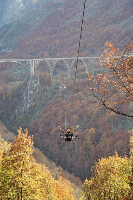 Guest House Tara Canyon Pljevlja Bagian luar foto