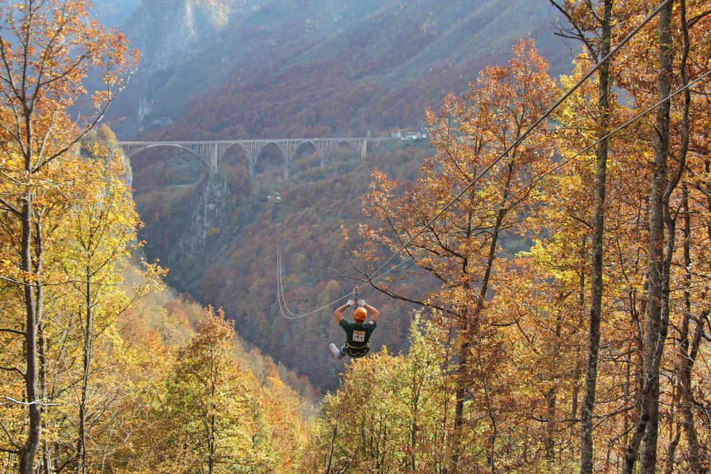 Guest House Tara Canyon Pljevlja Bagian luar foto